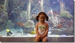 20130613_112838