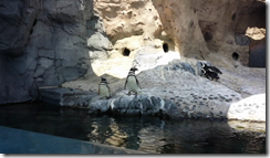 vlcsnap-2013-08-26-15h01m01s57